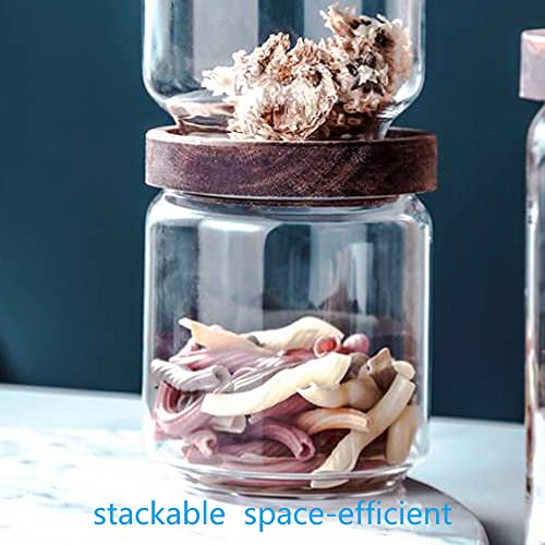 Set of 5 Kitchen Canisters