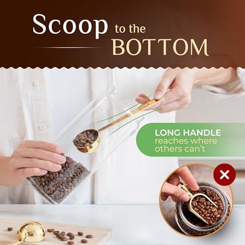 Premium Coffee Scoop Set (2 Count)