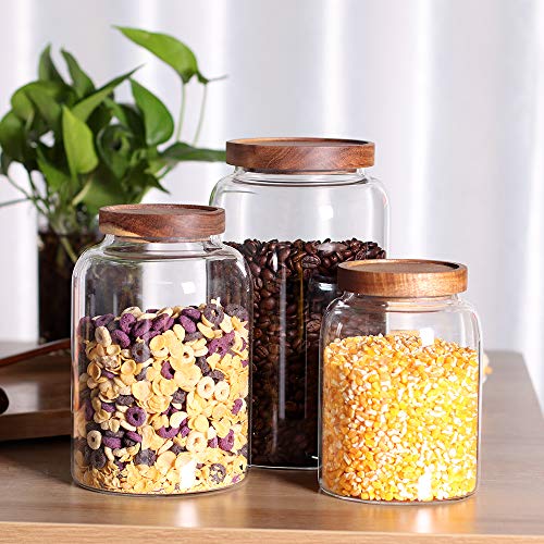 Glass Storage Jars with Airtight Lids