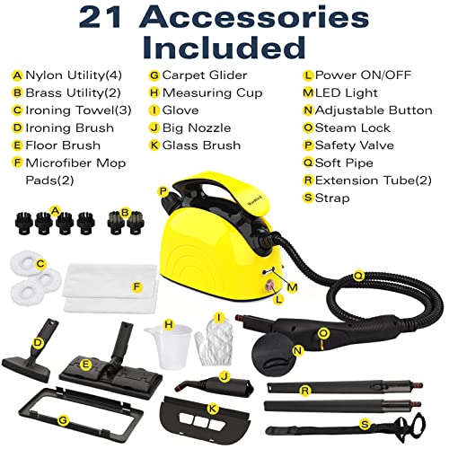 Steam Cleaner (21 Count)