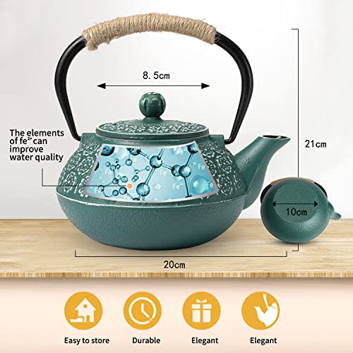 Cast Iron Tea Pot with Infusers for Loose Tea