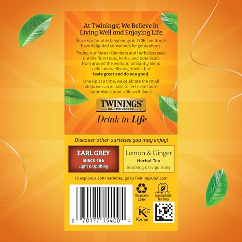 Lady Grey Black Citrus Tea Bags (120 Count)