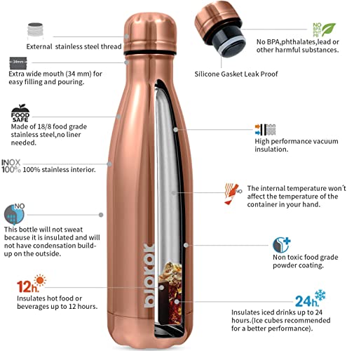 17 oz Insulated Water Bottle