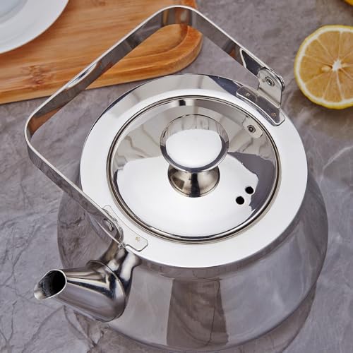 1.6 Quart stainless steel teapot with Infuser A modern