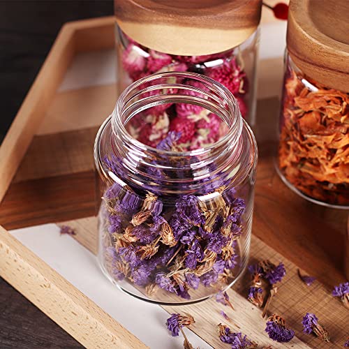 3 Packs Glass Food Storage Jars with Screw Airtight Seal Acacia Wood Lids
