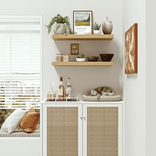 Deep Floating Shelves for Wall 24 inches Long Set of 2 (2 Count)