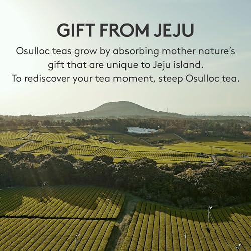 Premium Tea Collection (40 Count)