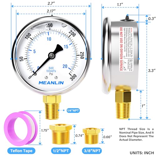 0~300Psi Stainless Steel 1 (2 Count)