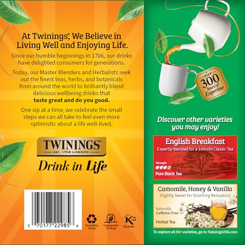 Irish Breakfast Black Tea Individually Wrapped Bags (100 Count)