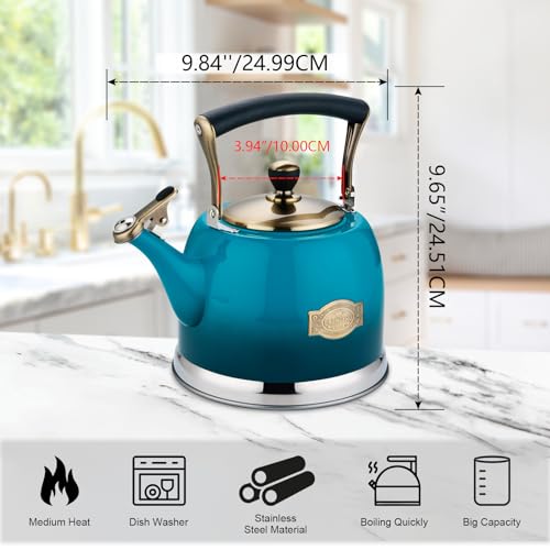 Tea Kettle Stainless Steel Teapot