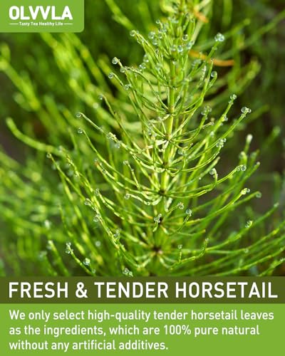 Horsetail Tea Bags (40 Count)