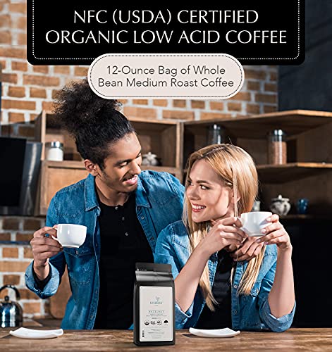 Hazelnut Ground Coffee (12 Ounce)