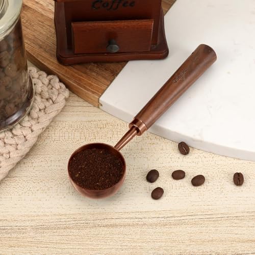Vintage Coffee Measuring Spoon (2 Count)