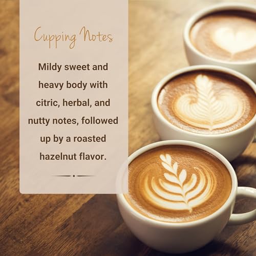 Brazil Natural Medium Roast Coffee Pods (10 Count)