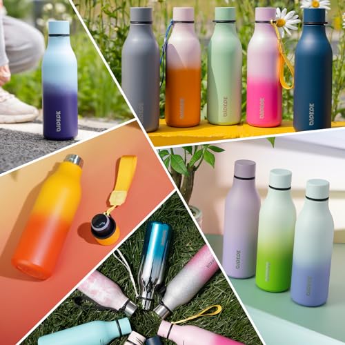 25oz Insulated Water Bottle
