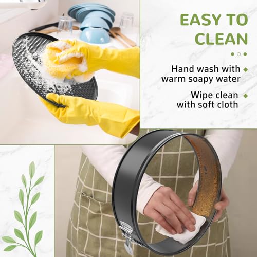10 Inch Springform Pan with Removable Bottom