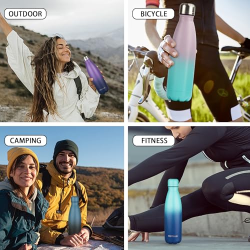 Insulated Water Bottle (2 Count)