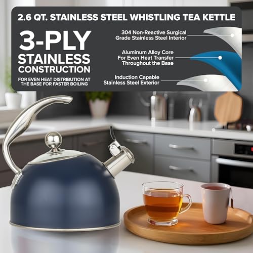 3 Ply Stainless Steel Tea Kettle