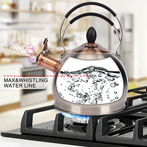 Whistling Tea Kettle Stainless Steel Teapot