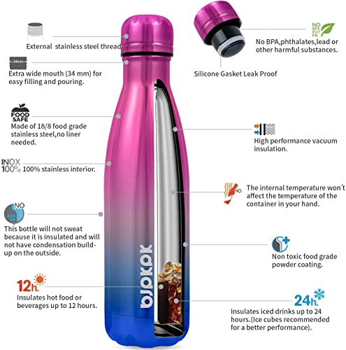 17 oz Insulated Water Bottle