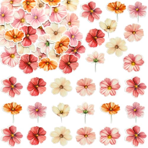 50Pcs Edible Flower Cupcake Toppers Wafer Paper Spring Bridal Engagement Baby Shower Birthday Party Cupcake Picks Anniversary Party Decorations Supplies Rose Red (50 Count)