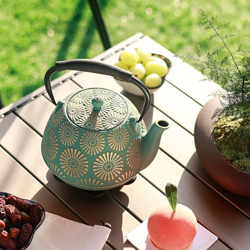 Cast Iron Teapot