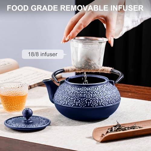 Cast Iron Teapot