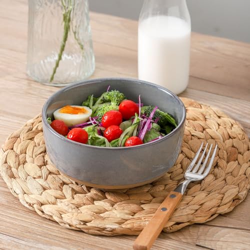 Ceramic Soup Bowls Set of 6 (6 Count)