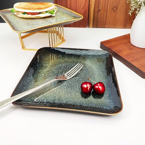 Ceramic Dinner Plates Dish Set (4 Count)