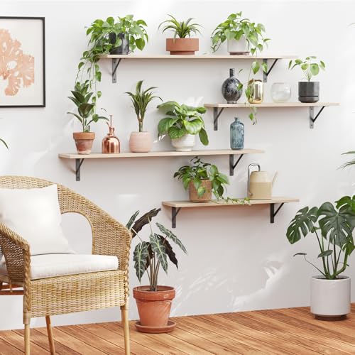 Long Wall Shelves (2 Count)