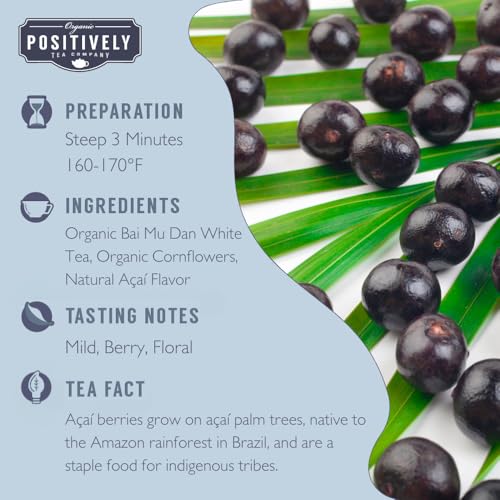 Positively Tea (12 Ounce)