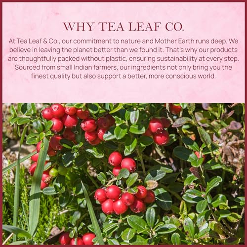 Tealeaf & Co. Cranberry Orange Black Tea Bags Blended with Fresh Herbs and Spices (7.055 Ounce)