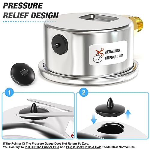 0~100Psi Dry Pressure Gauge Stainless Steel 1