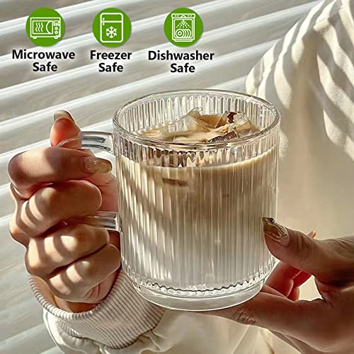 6 PACK Premium Glass Coffee Mugs with Handle (6 Count)