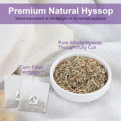 Hyssop Tea Bag (54 Count)
