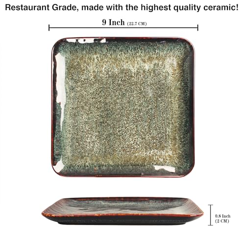Ceramic Dinner Plates Dish Set (4 Count)
