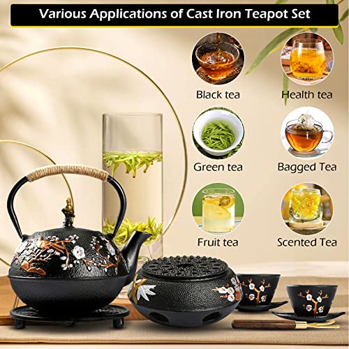 Cast Iron Teapot with Warmer Japanese Tea Kettle 720ml