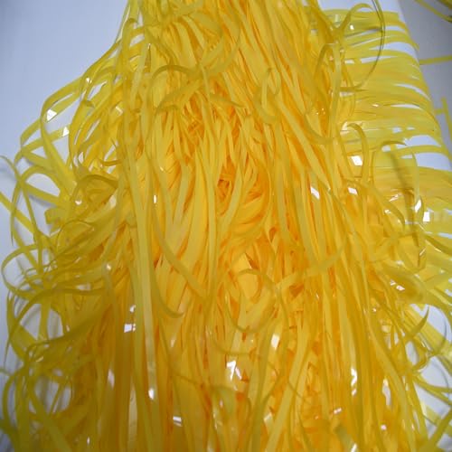 Fringe Curtain Backdrop (2 Count)
