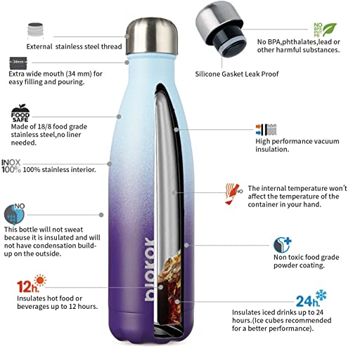 17 oz Insulated Water Bottle
