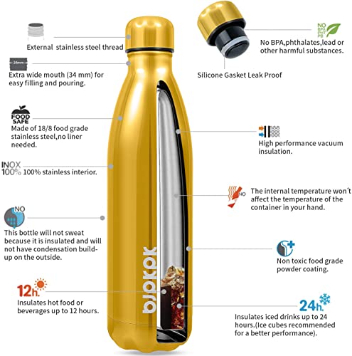 25 oz Insulated Water Bottle