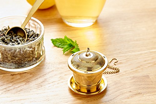 Tea Infuser Set of 2 with Tea Scoop & Drip Trays