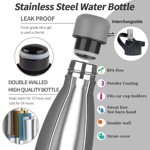Insulated Water Bottle