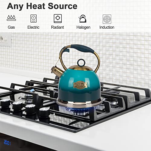 Tea Kettle 3.0 Quart Tea Kettles Stovetop Whistling Teapot Stainless Steel Tea Pots for Stove Top Whistle Tea Pot