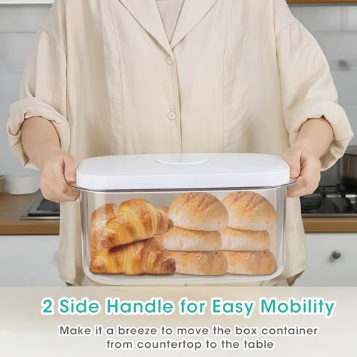 Large Bread Box with Easy