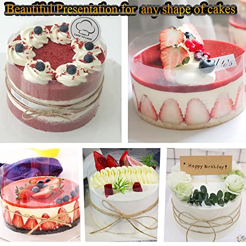 Cake Ring Extra High 15cm Acetate Cake Collar Set
