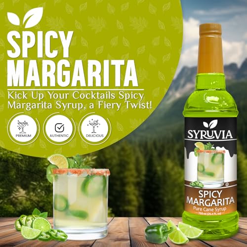 Spicy Margarita Syrup (25.4 Fl Oz)
