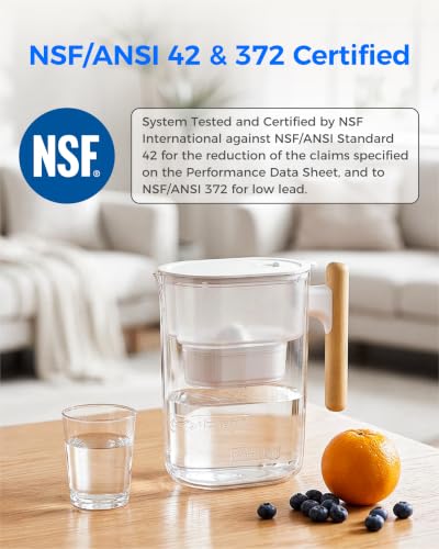 PT 04C Water Filter Pitcher