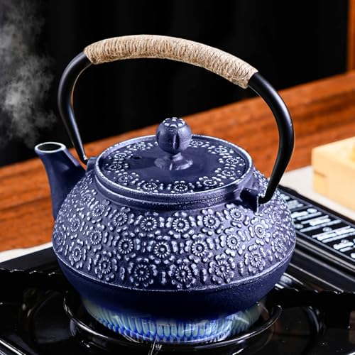 Cast Iron Teapot