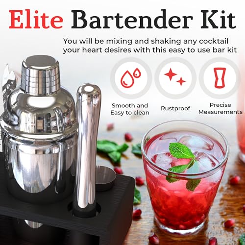 Cocktail Shaker Set