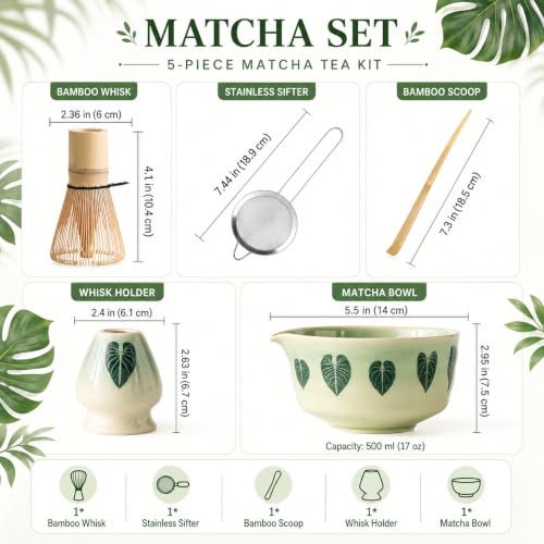 Matcha Whisk Set (5 Count)